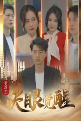 赘婿之天眼觉醒 赘婿之天眼觉醒