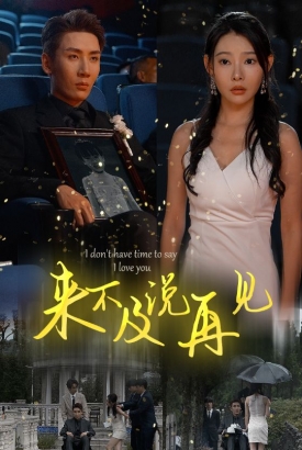 来不及说再见 来不及说再见