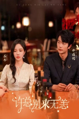 许总别来无恙 许总别来无恙
