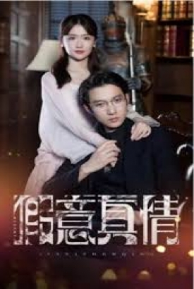 假意真情 假意真情