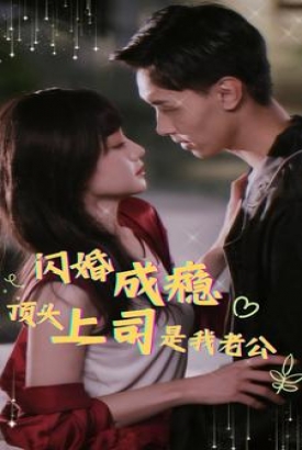 闪婚成瘾顶头上司是我老公 闪婚成瘾顶头上司是我老公