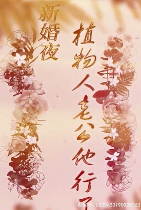 新婚夜,植物人老公他行了【1-4合集】 新婚夜,植物人老公他行了【1-4合集】