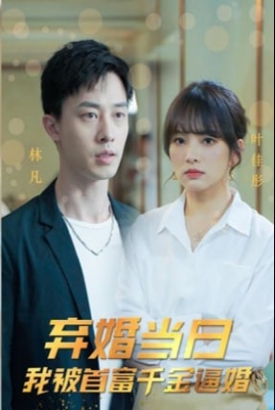 弃婚当日我被首富千金逼婚【1-3合集】 弃婚当日我被首富千金逼婚【1-3合集】