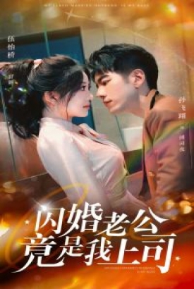 闪婚老公竟是我上司 闪婚老公竟是我上司