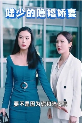 陆少的隐婚娇妻【合集】 陆少的隐婚娇妻【合集】