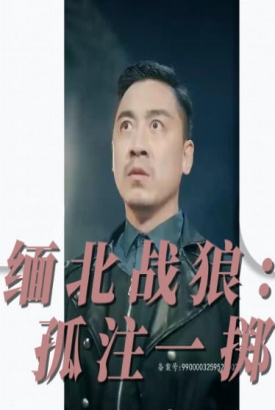 缅北战狼:孤注一掷【合集】 缅北战狼:孤注一掷【合集】