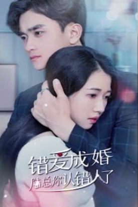 错爱成婚:陆总你认错人了【1-81合集】 错爱成婚:陆总你认错人了【1-81合集】