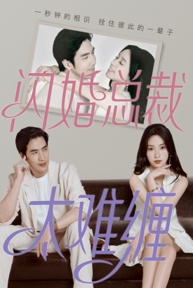 闪婚总裁太难缠 闪婚总裁太难缠