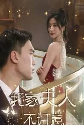 我家夫人不好惹 我家夫人不好惹