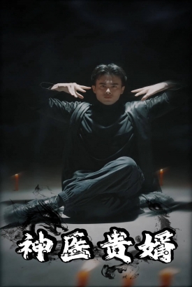 神医贵婿 神医贵婿