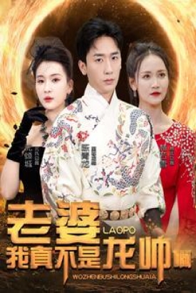 老婆我真不是龙帅啊 老婆我真不是龙帅啊