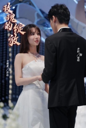 玫瑰的绽放 玫瑰的绽放