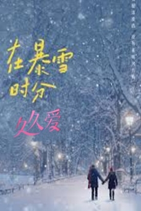 在暴雪时分久久爱 在暴雪时分久久爱