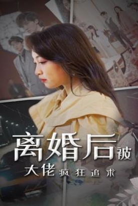 离婚后被大佬疯狂追求 离婚后被大佬疯狂追求