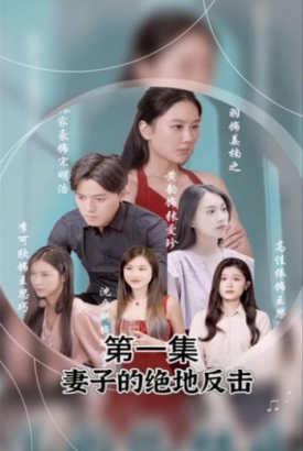 妻子的绝地反击 妻子的绝地反击