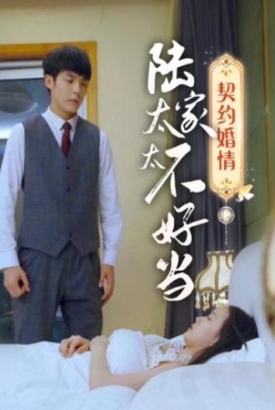 契约婚情陆家太太不好当 契约婚情陆家太太不好当