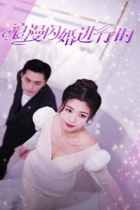 浪漫闪婚进行时 浪漫闪婚进行时