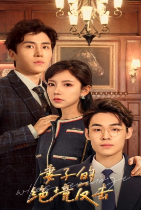 妻子的绝境反击 妻子的绝境反击