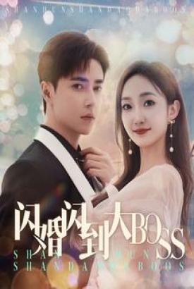 闪婚闪到大BOOS 闪婚闪到大BOOS