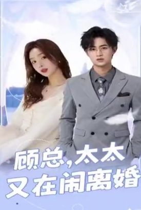 顾总太太又在闹离婚 顾总太太又在闹离婚