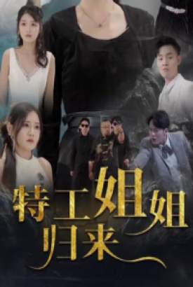 特工姐姐归来 特工姐姐归来
