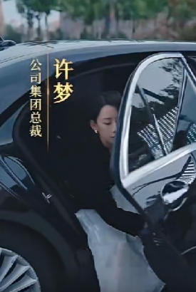 女老板的复仇 女老板的复仇