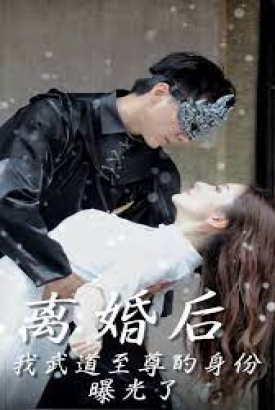 离婚后我武道至尊的身份曝光了 离婚后我武道至尊的身份曝光了