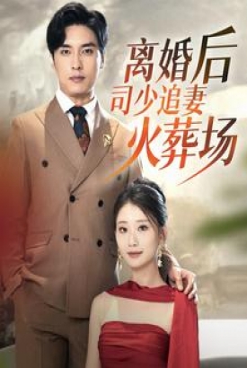 离婚后司少追妻火葬场 离婚后司少追妻火葬场