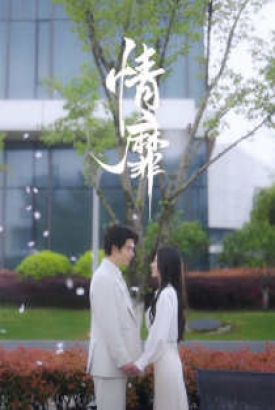 情靡 情靡