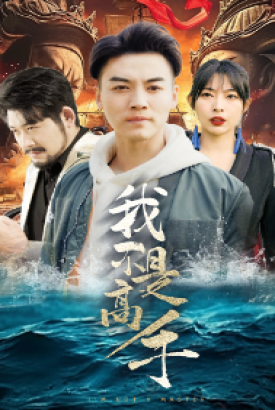 我不是高手 我不是高手