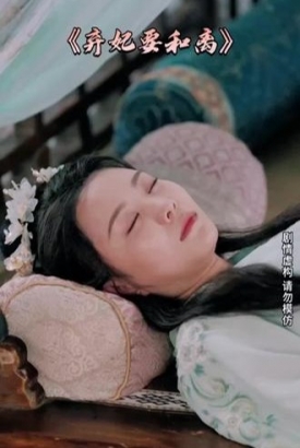 弃妃要和离 弃妃要和离