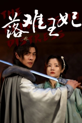 落难王妃 落难王妃