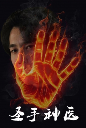 圣手神医 圣手神医