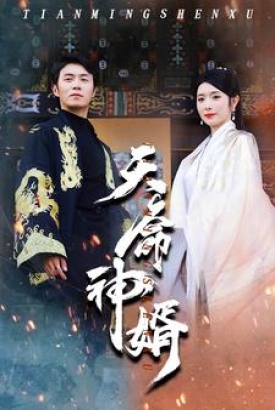 天命神婿 天命神婿