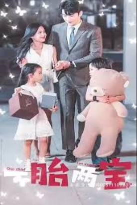 一胎两宝爹地妈咪又怀了 一胎两宝爹地妈咪又怀了