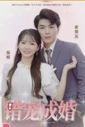 错宠成婚 错宠成婚