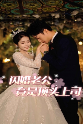 闪婚老公竟是我顶头上司 闪婚老公竟是我顶头上司