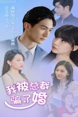 我被总裁骗了婚 我被总裁骗了婚
