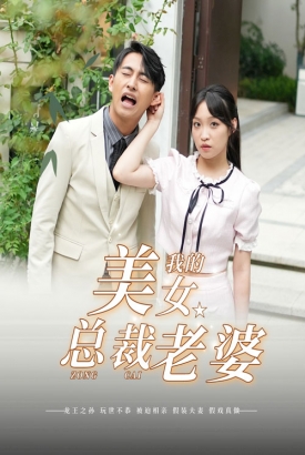 我的美女总裁老婆 我的美女总裁老婆