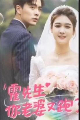 霍先生你老婆又跑了 霍先生你老婆又跑了