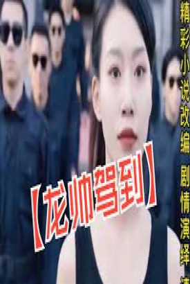 龙帅驾到 龙帅驾到
