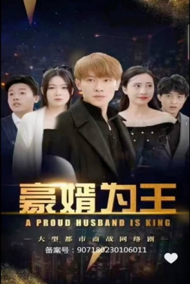 豪婿为王 豪婿为王