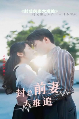 封总前妻太难追 封总前妻太难追