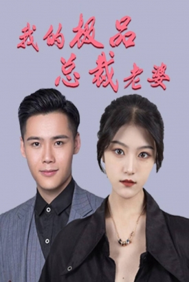 我的极品总裁老婆 我的极品总裁老婆