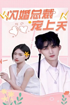 闪婚总裁宠上天 闪婚总裁宠上天