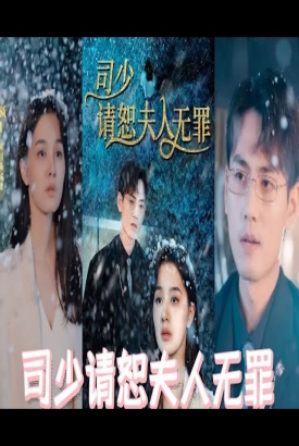 司少请恕夫人无罪 司少请恕夫人无罪