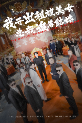 我开出租被美女总裁追着结婚 我开出租被美女总裁追着结婚
