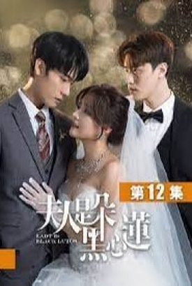 夫人是朵黑心莲 夫人是朵黑心莲