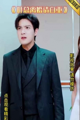 叶总离婚请自重【1-23合集】 叶总离婚请自重【1-23合集】