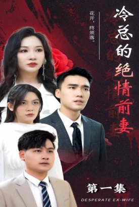 冷总的绝情前妻 冷总的绝情前妻